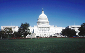 the white house