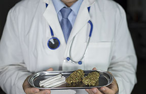 dr with marijuana